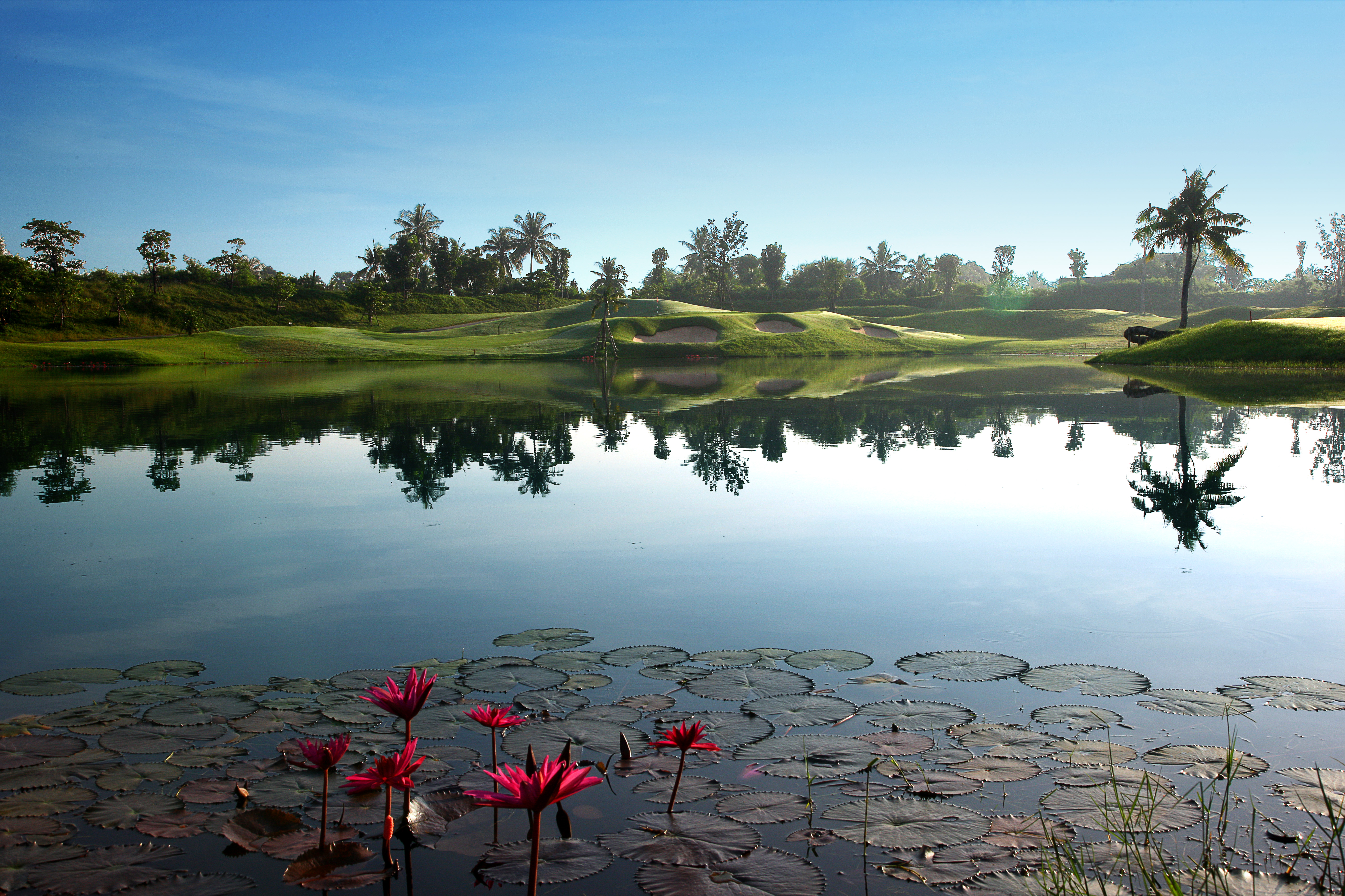 Environmental services